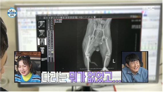 나혼자산다 584회