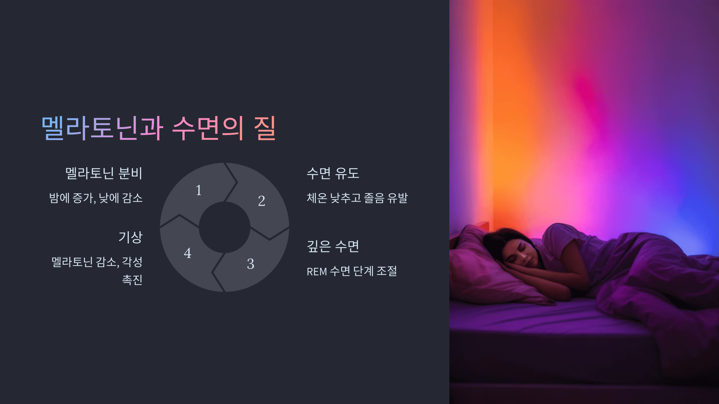 멜라토닌과 관련된 사진입니다.