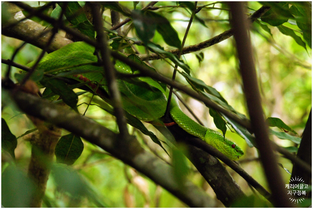 치앙마이 도이 인타논 국립공원