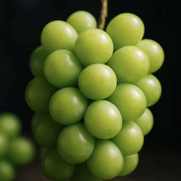 포도알을 키우는 두 번째 정성