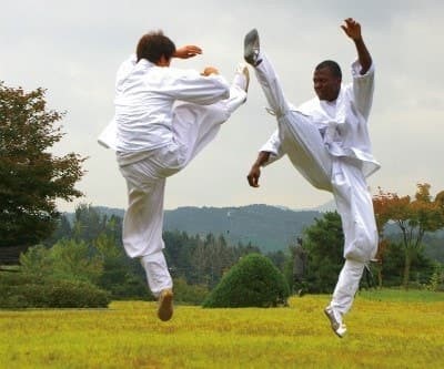 택견과 다른 무예 비교: 태권도·합기도와의 차별성 분석