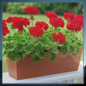 농사 물 관리 비가림 설치 배수로 정비 가뭄 대비 빗물 저장_23