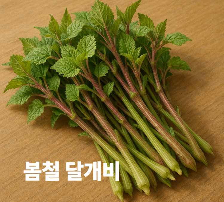 변비예방 독소배출 노화방지 암예방 봄철 달개비 효능 영양성분