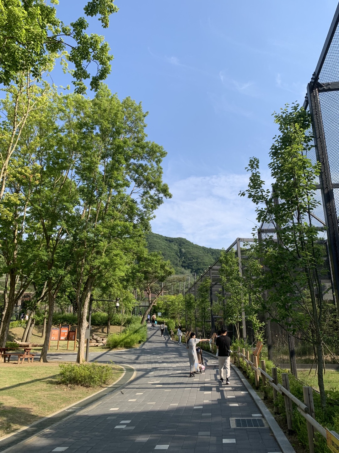 새 모여 있는 곳