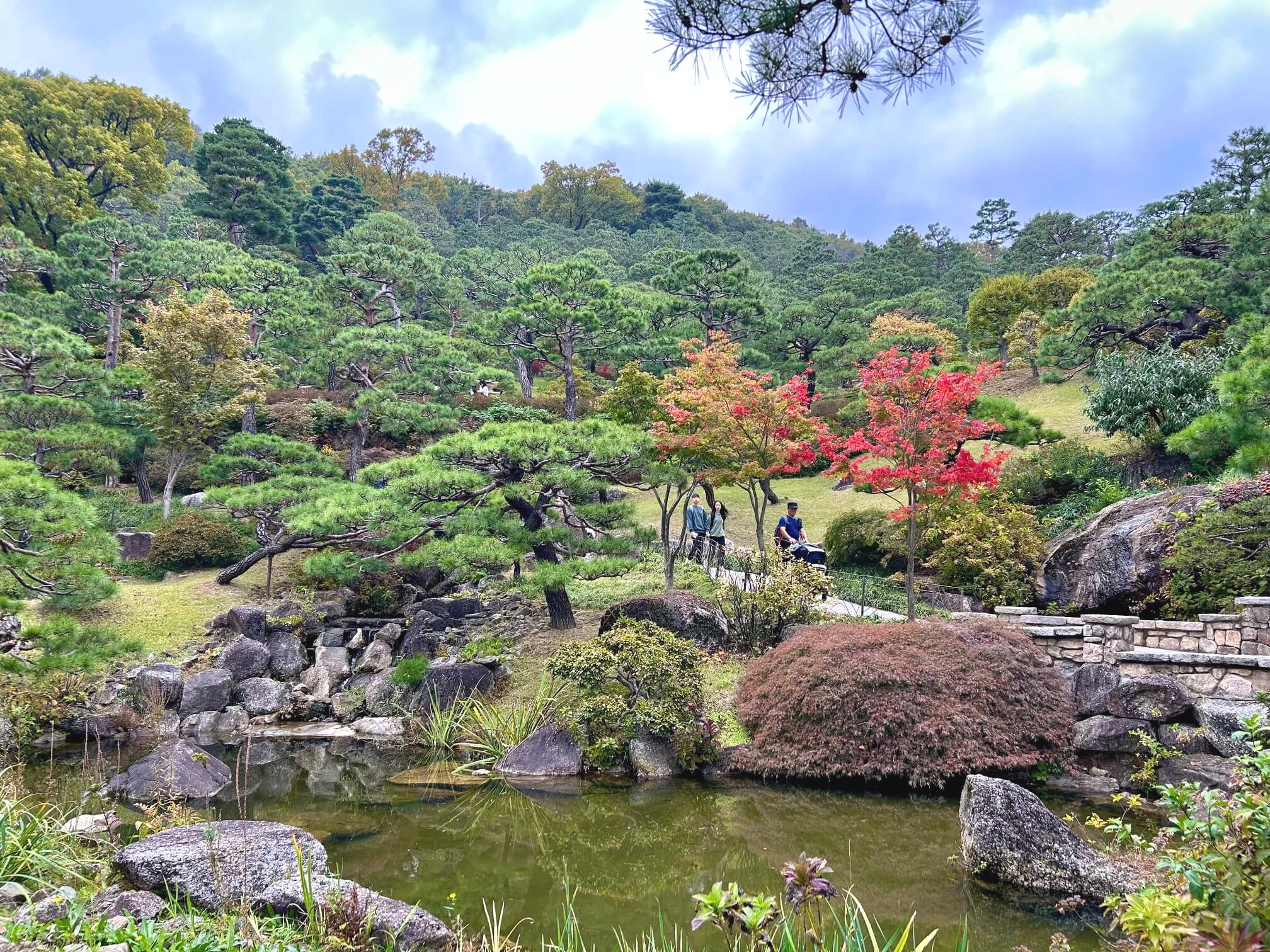 2024년 화담숲 10월 말 가을 단풍 암석·하경정원2