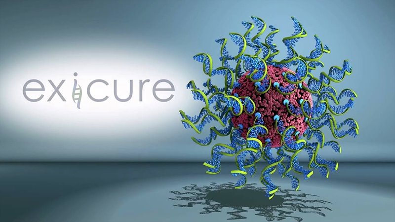 μμνμ΄(XCUR) 1 λ 5 μν λΆν λ°ν