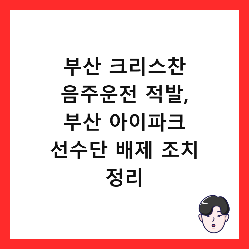 ๋ถ์ฐ ํฌ๋ฆฌ์ค์ฐฌ ์์ฃผ์ด์ ์ ๋ฐ, ๋ถ์ฐ ์์ดํํฌ ์ ์๋จ ๋ฐฐ์ ์กฐ์น ์ ๋ฆฌ ์ธ๋ค์ผ