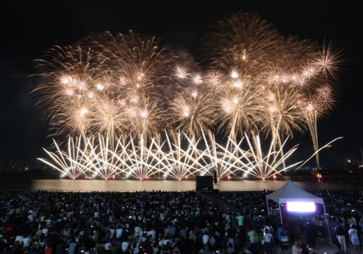 불꽃놀이 배경에 ‘2025 포항국제불빛축제’ 텍스트가 포함된 썸네일