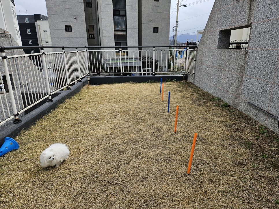 풀스테이 스테이온 가평