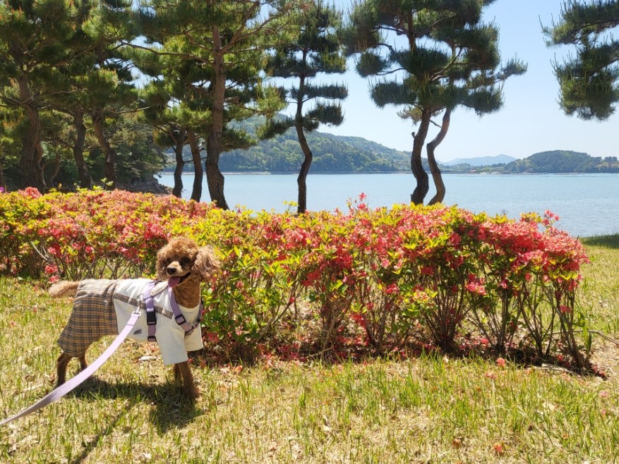 남해 다랭이 마을