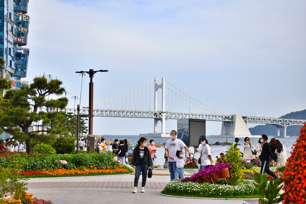 광안리 꽃 축제