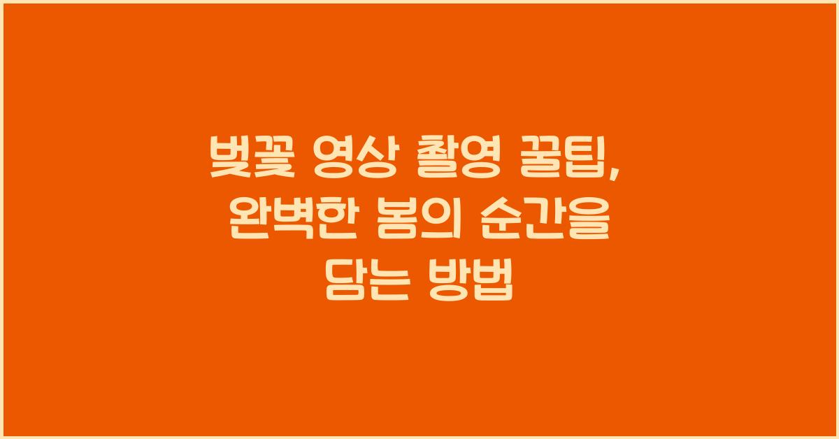 벚꽃 영상 촬영 꿀팁