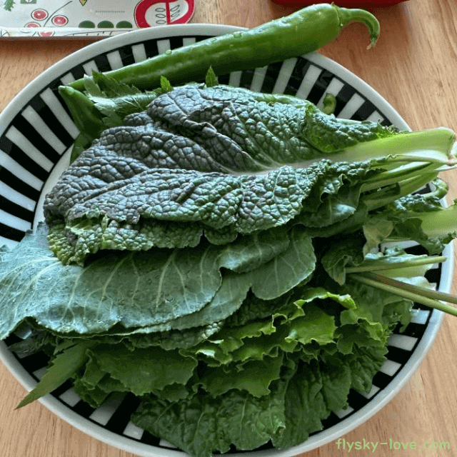 겨자 고르는 법