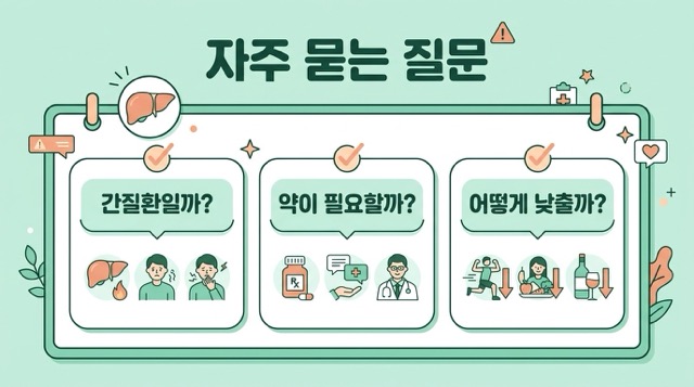 ALT 수치 자주 묻는 질문 간질환 약 복용 낮추는 법