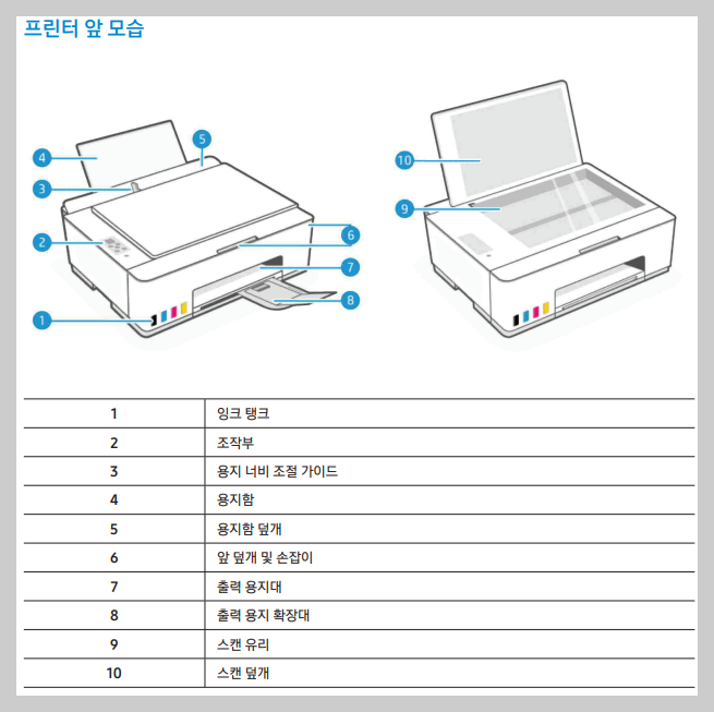 앞모습