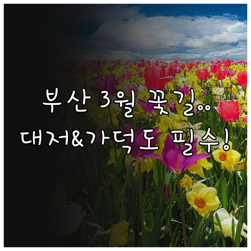 3월 부산 강서구 나들이 대저생태공원..