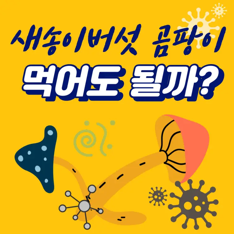 곰팡이-핀-새송이버섯-먹어도-될까-썸네일
