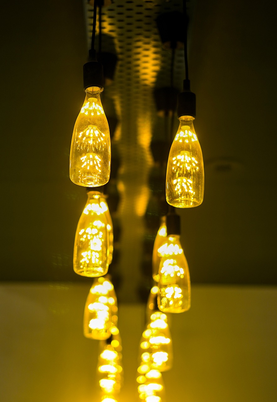 광복절 기념행사 사전 예약 방법 신청 방법