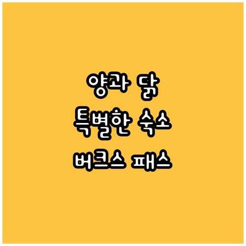 버크스 패스 컨트리 모텔! 양과 닭이