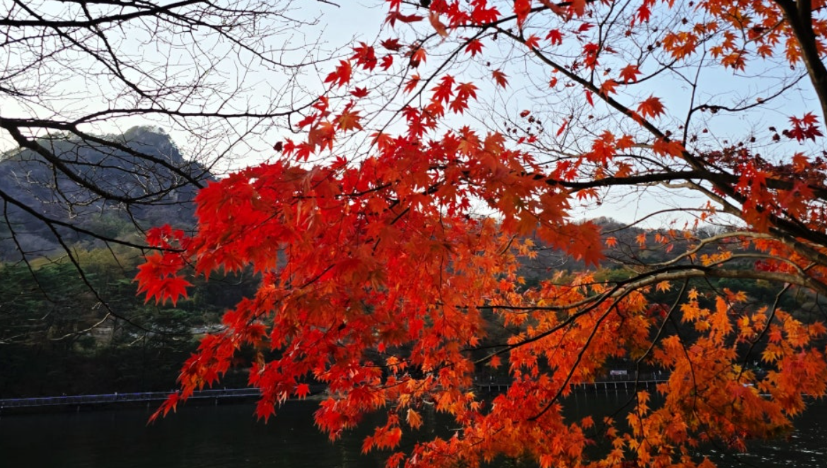 산정호수 단풍