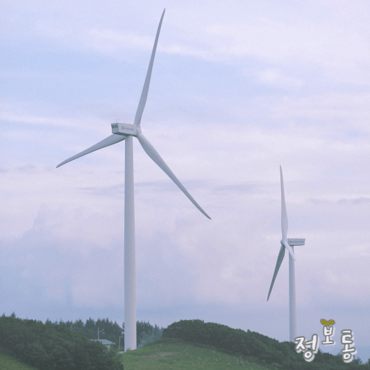 5월 가볼만한 곳