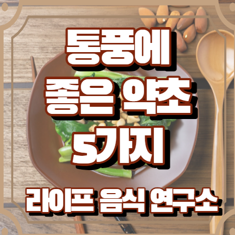 통풍에 좋은 약초 5가지