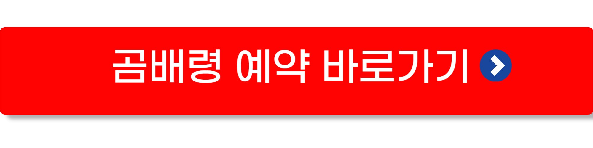 곰배령 예약하기6