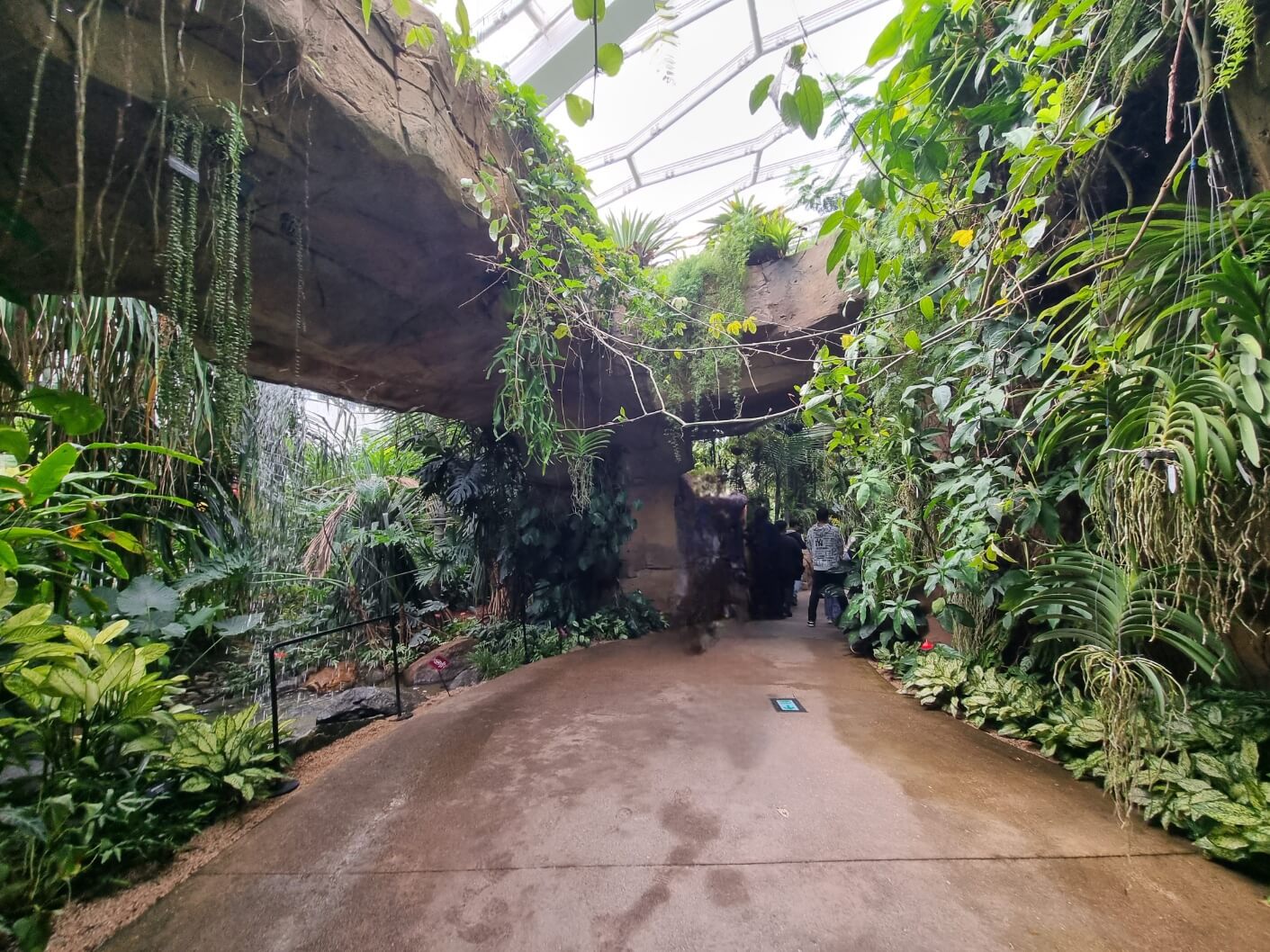 서울식물원 입장료