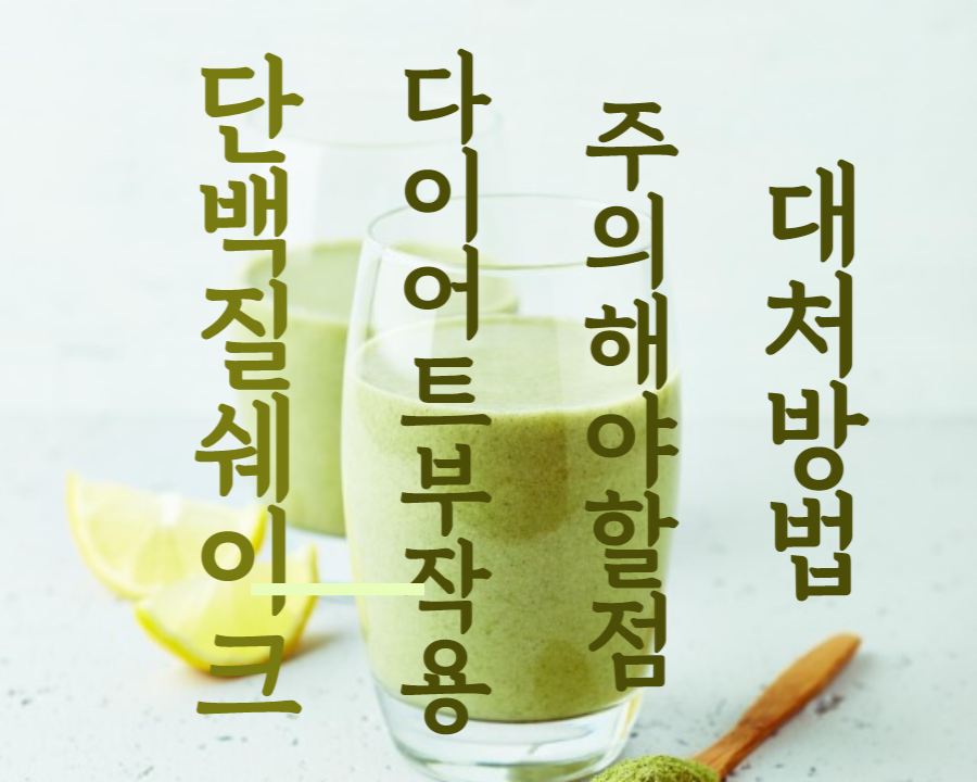 단백질 쉐이크 다이어트의 부작용, 주의해야 할 점, 대처방법