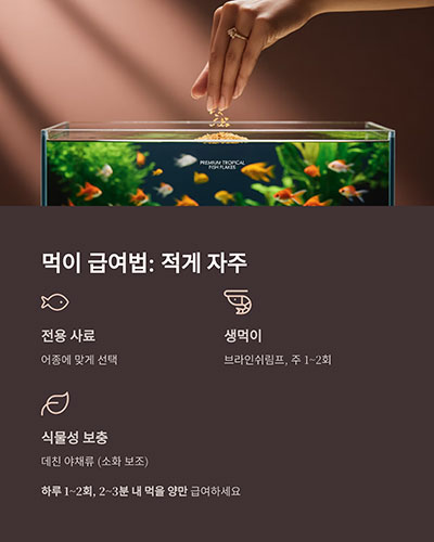 먹이 급여법: 적게 자주, 과식은 금물