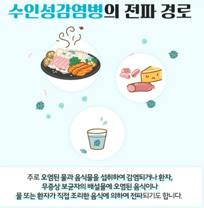장마뒤 집중호우로 인한 수인성감염병 예방법과 치료방법