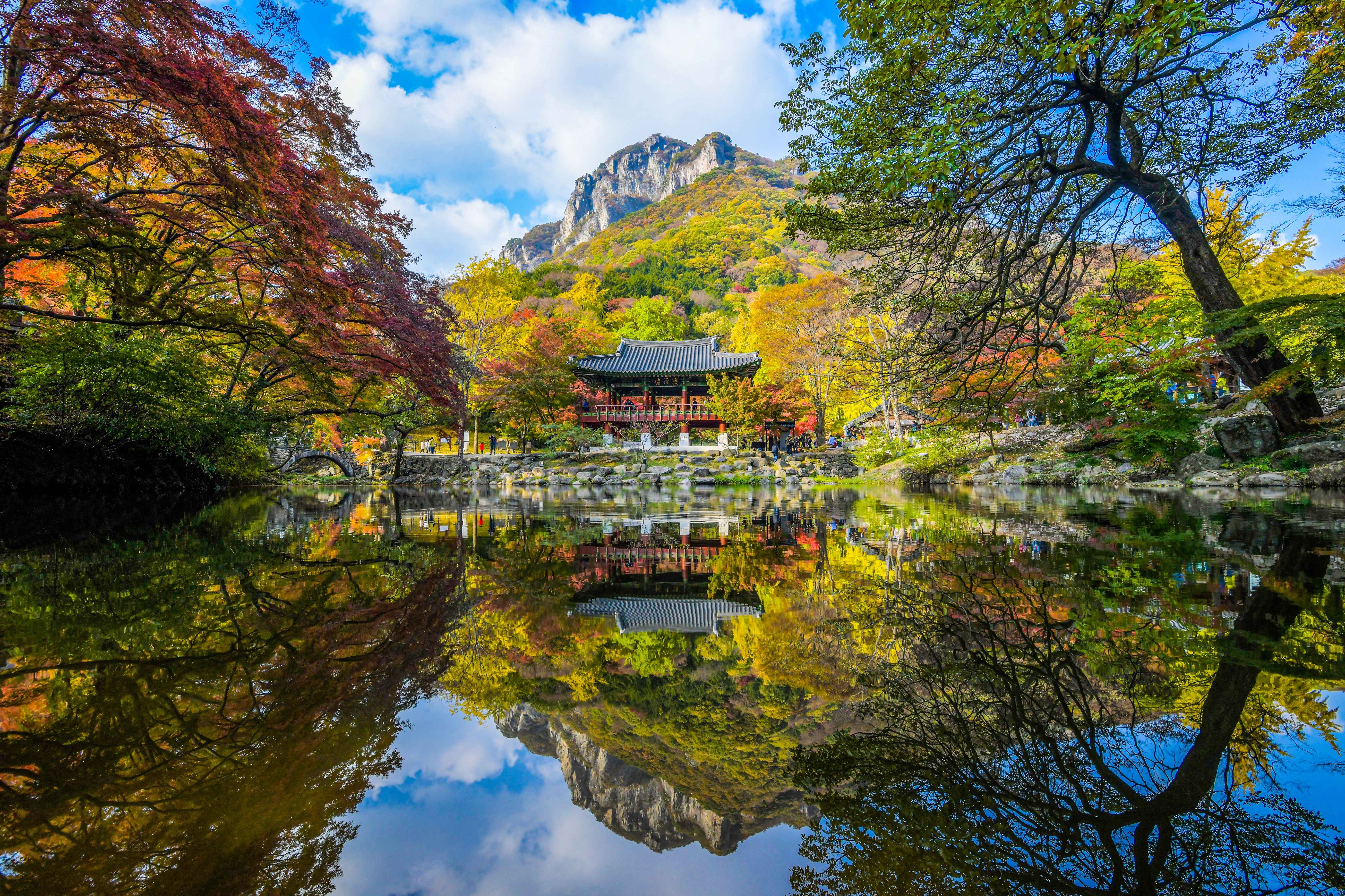 백양사 뒤로 보이는 산과 단풍의 모습이 한폭의 그림처럼