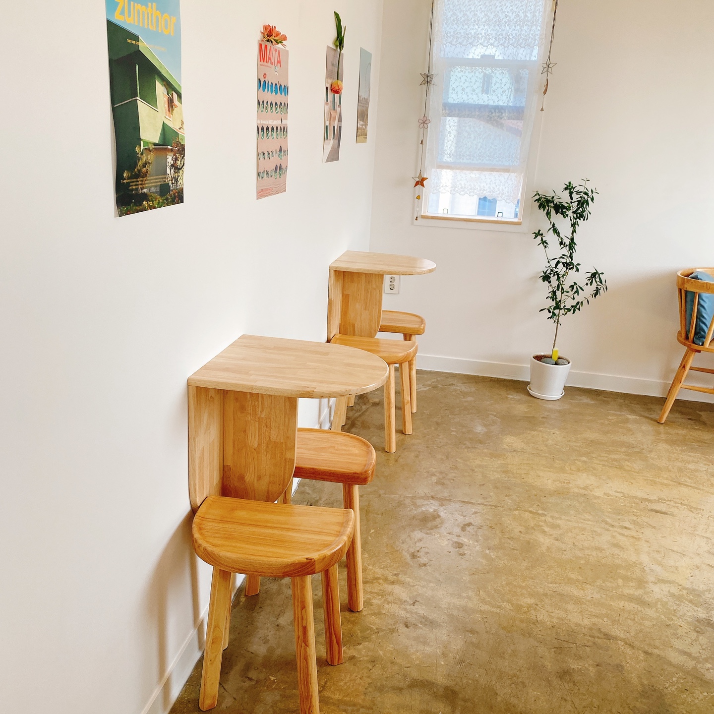 제주 한경 싱계물공원 바다목장 솜사탕 커피 그린구름 카페