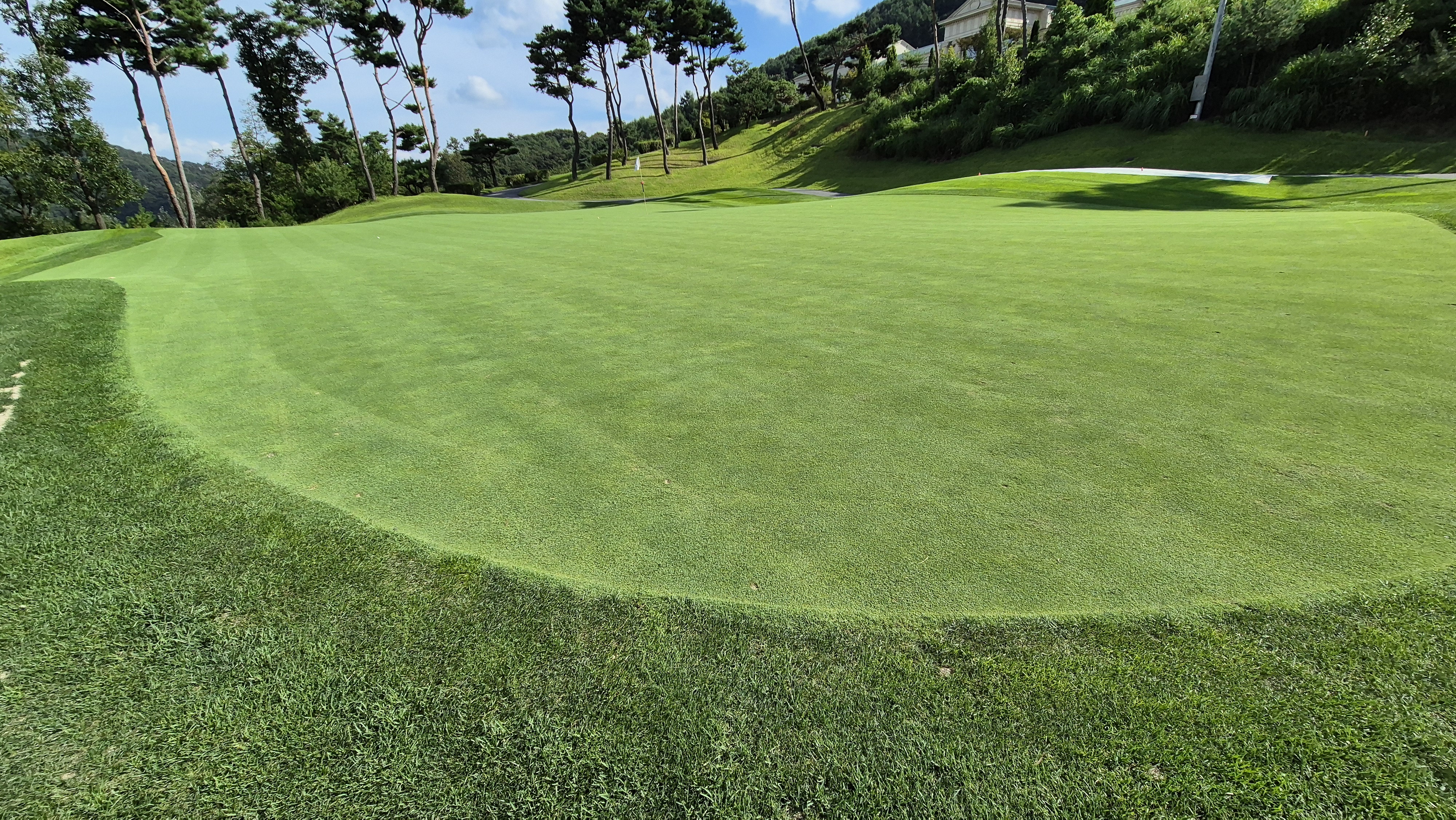 세일cc 들길-산길 코스 라운드 후기