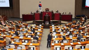 2025 민생지원금 -사용팁-국회