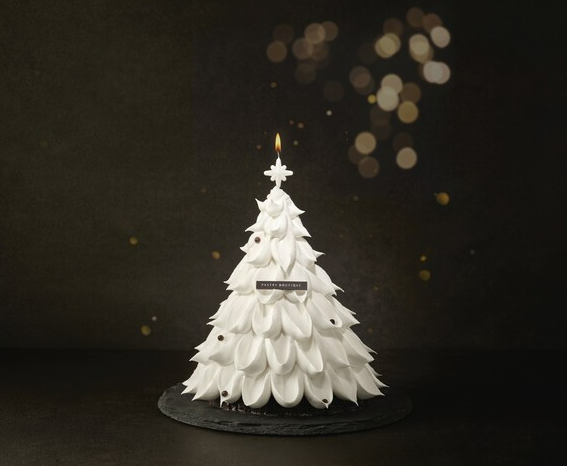 화이트-홀레데이