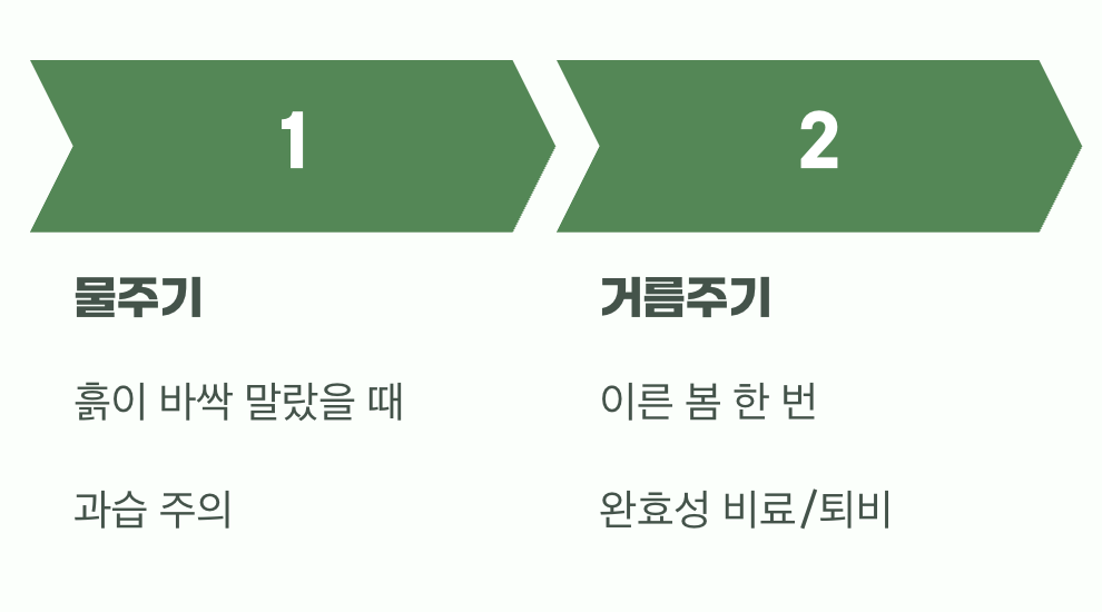 비결 2. 과한 사랑은 금물, '물'과 '거름'