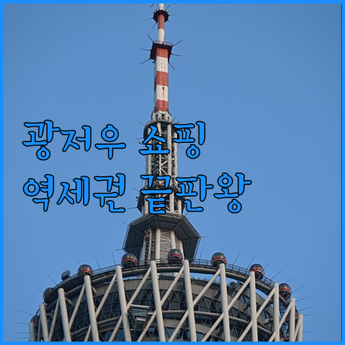 광저우 톈허구 웨슈구 쇼핑하기 좋은 ..