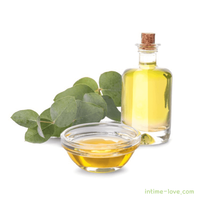 유칼립투스 오일 효능