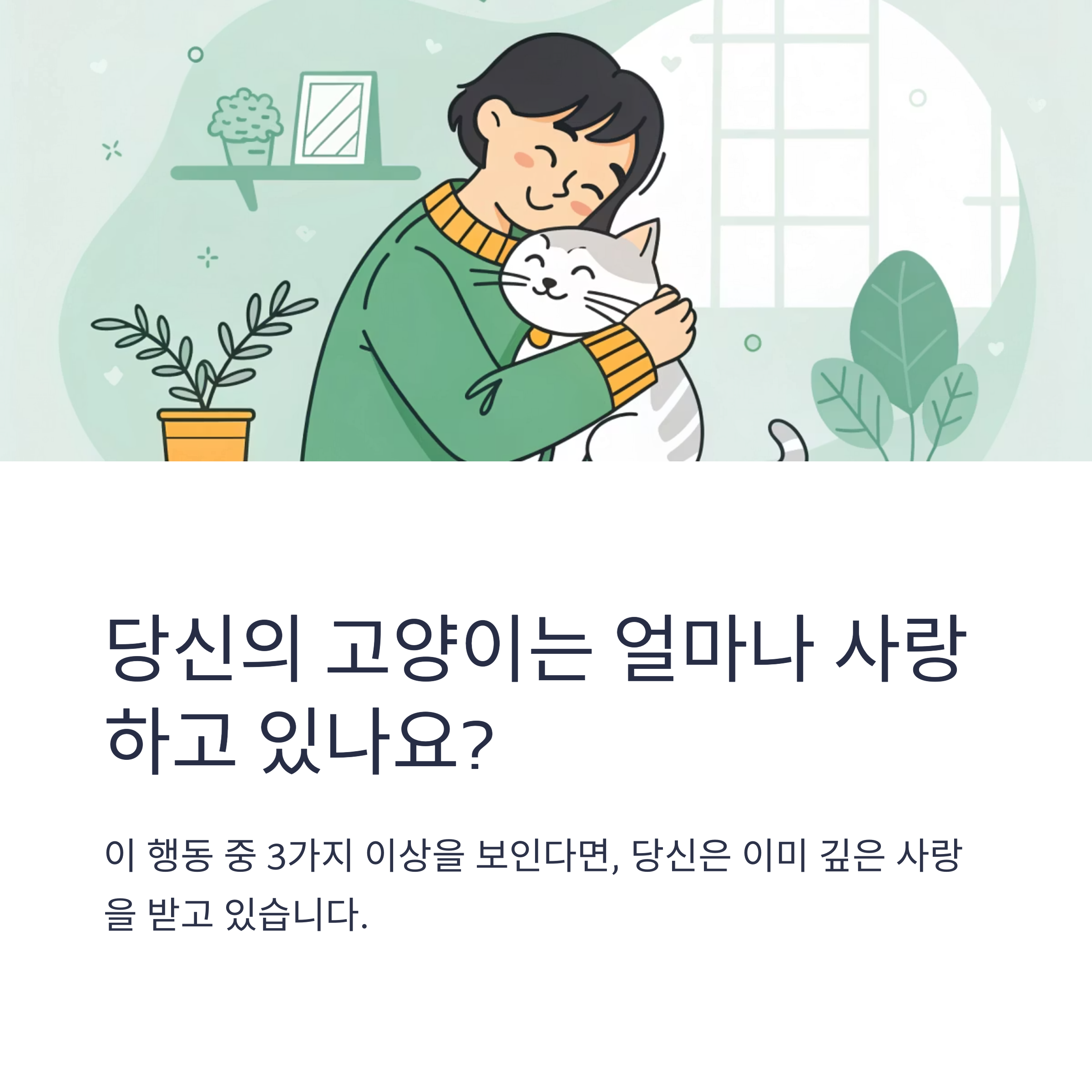 당신의 고양이는 얼마나 사랑하고 있나요?