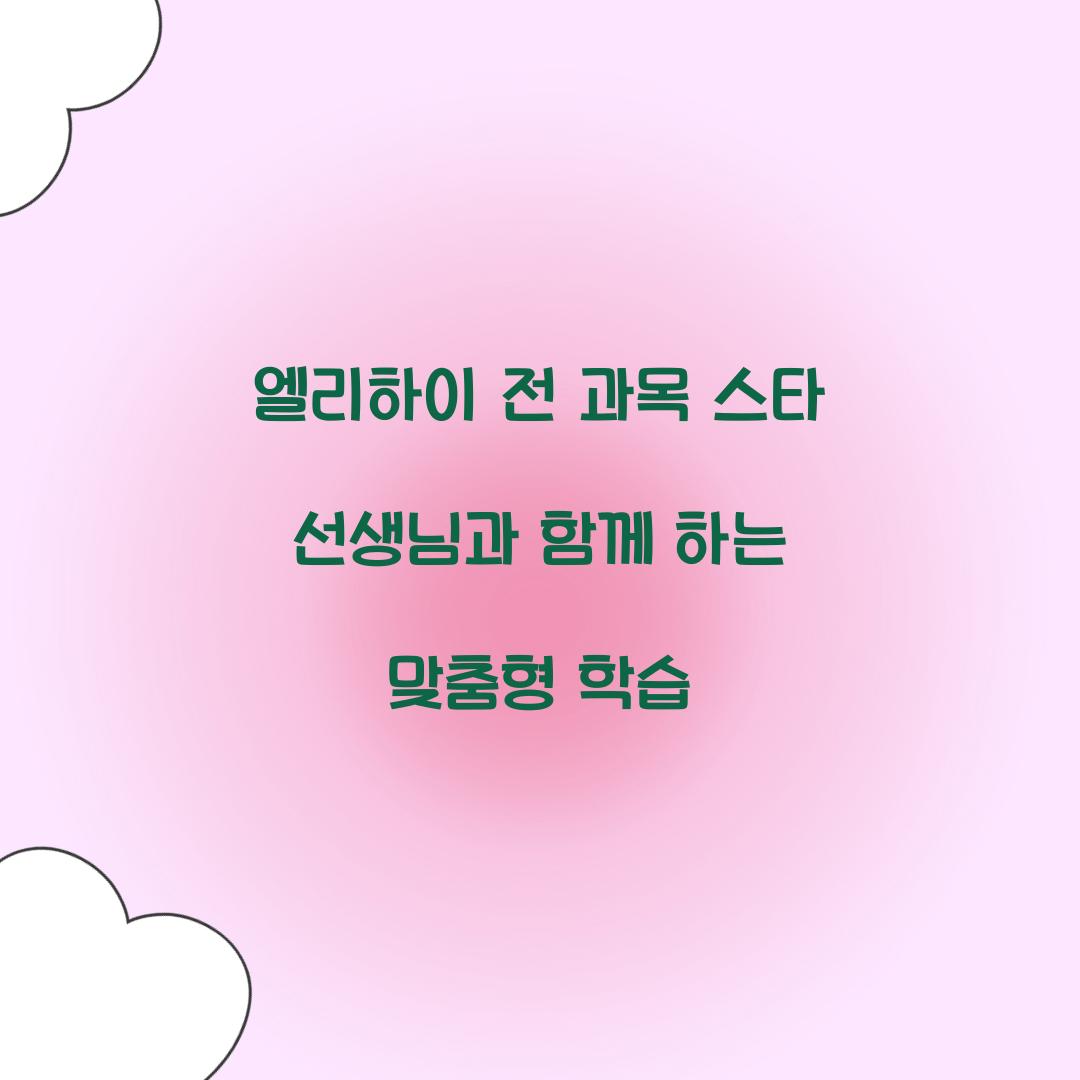 엘리하이 전 과목 스타 선생님