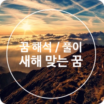 2026 병오년 신년운세