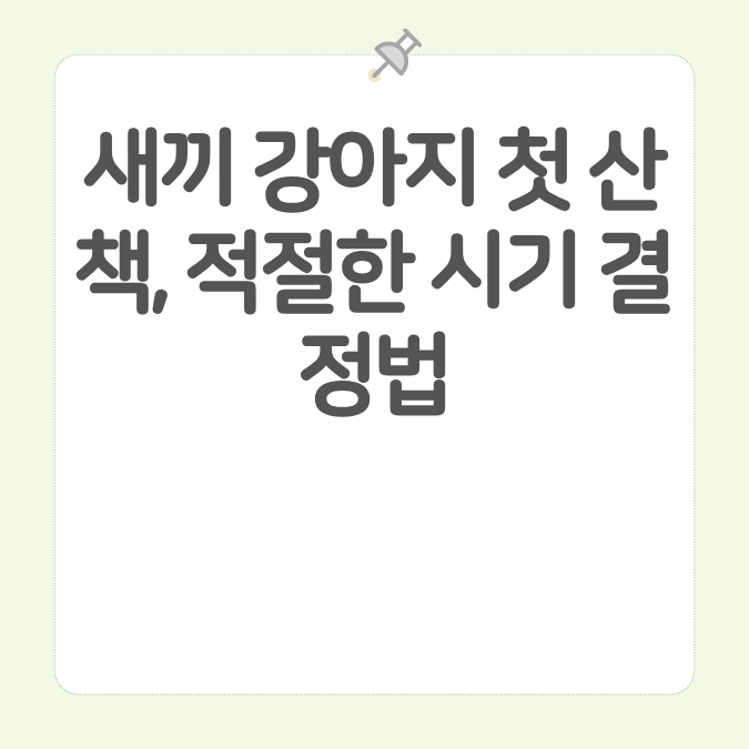 새끼 강아지 첫 산책, 적절한 시기 결정법