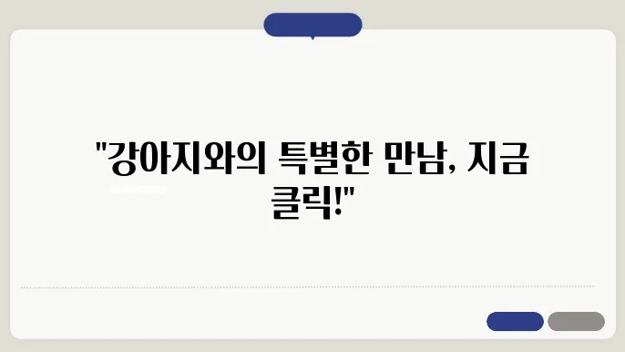 강아지보호소에서 제공하는 상담 모습