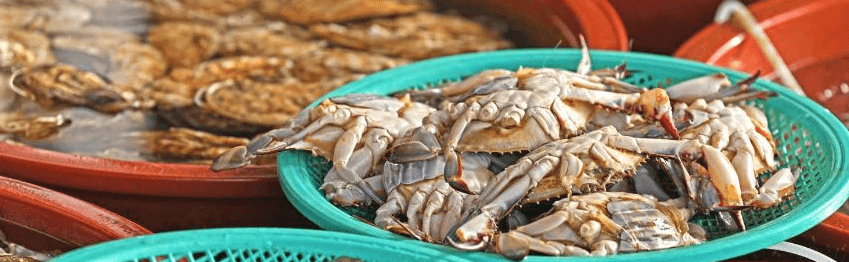 대부도 가볼만한곳 베스트10