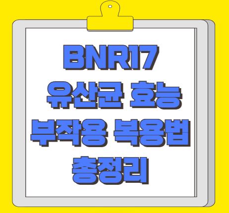 BNR17 유산균 효능 부작용 복용법
