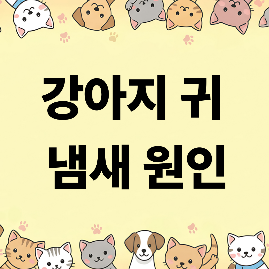 강아지 귀 냄새 원인