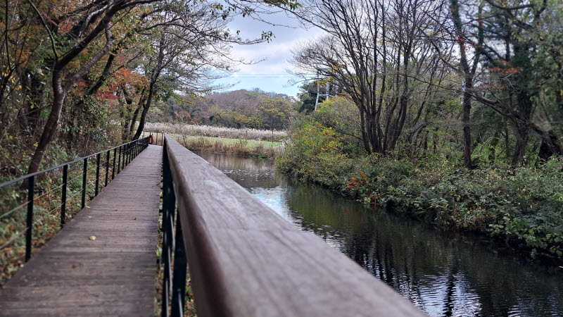 제주여행_에코랜드