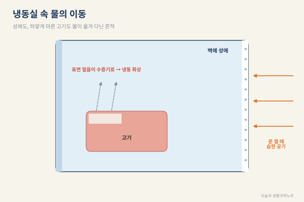 냉동실 성에와 하얗게 마른 고기, 둘 다 '사라진 물' 때문입니다