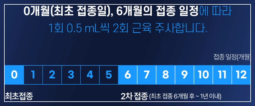 만 9~14세 (2회 접종 가능)